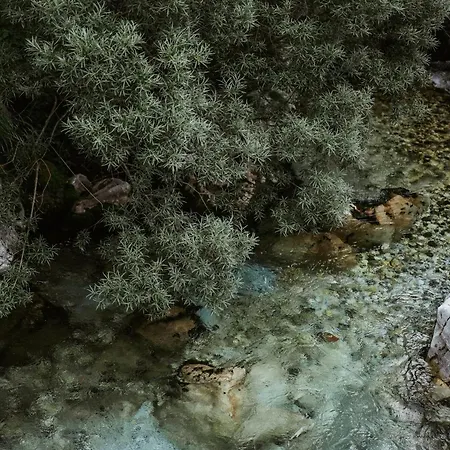 & Θέρετρο